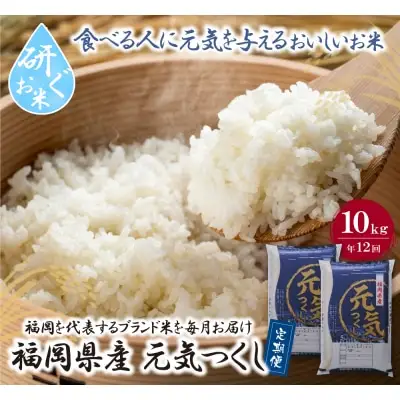 Z17-87 寄附額改定↓↓ 研ぐお米福岡県産・元気つくし10kg定期便(毎月・年12回)