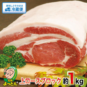 延岡よっとん 上ロースブロック約1kg N003-YB129