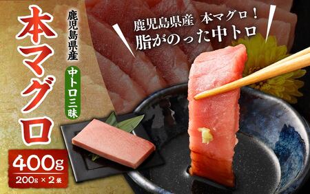 BS-904 鹿児島県産 本マグロ 中トロ三昧 合計400g(200g×2袋) 【2026年1月下旬より順次出荷】