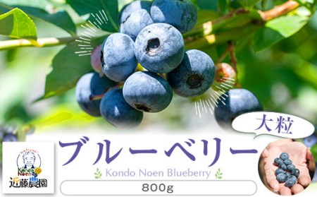 【数量限定】冷凍ブルーベリー 800g（100g×8） (B-20) AS-588