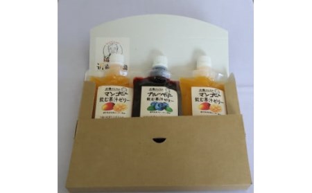ZS-728 【数量限定】「飲む果汁ゼリー」3個（ブルーベリー×1個、マンゴー×2個） (S-19)