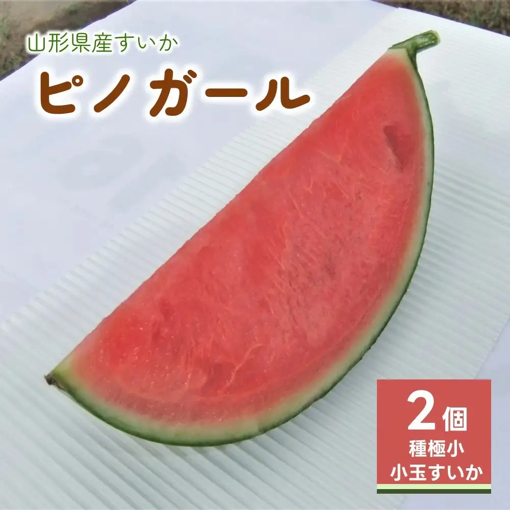 小玉すいか（ピノガール）２個　0030-2608
