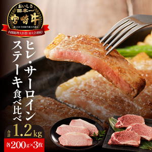 ヒレ・サーロインステーキセット各200g×3枚 N023-YZF004