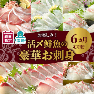 【お楽しみ定期便】延岡産活〆鮮魚の豪華 お刺身 6ヶ月定期便 鮮魚 延岡産 刺身 ヒラメ 真鯛 カンパチ 季節 魚 ブリ ハマチ 国産 昆布〆 おつまみ カルパッチョ 鮮魚 魚介類 食品 冷蔵 請関水産 グルメ お取り寄せ 宮崎県 延岡市 送料無料 N019-YF073