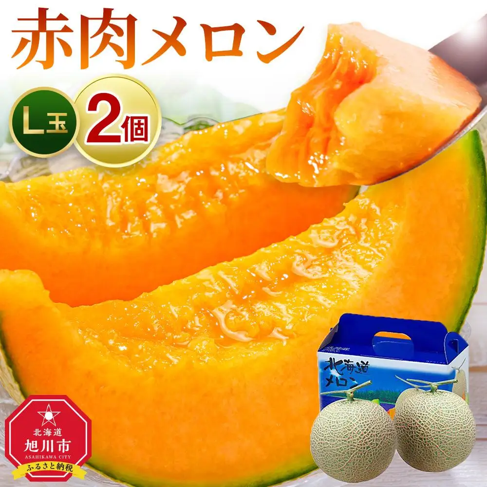 【先行予約】北海道 赤肉メロン L玉×2個 (2026年7月発送開始) メロン