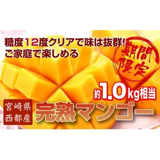 【先行予約】訳あり 糖度12度以上 ご家庭用 西都産完熟マンゴー 約1kg（3～5玉）　JA西都　2026年発送＜2-3a＞