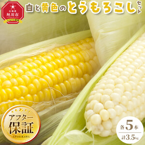 【先行予約】旭川近郊産 白と黄色のとうもろこしセット　各5本（計3.5kg）2026年8月上旬から発送開始 | とうもろこし コーン スイートコーン 北海道 限定_00094