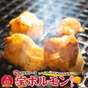 ホルモン好きな”あなた”に送る！宝ホルモンセット_00388