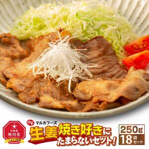 生姜焼き好きにたまらないセット！（250g×18袋）_01012
