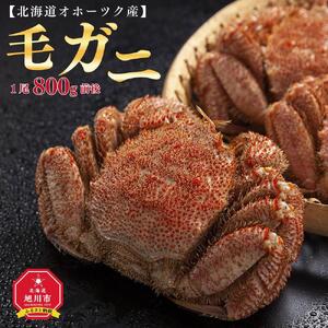 【着日指定可】北海道オホーツク産　毛ガニ　1尾　800ｇ前後 | 毛ガニ_01190