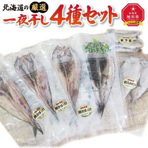 北海道の厳選一夜干しセット_00445