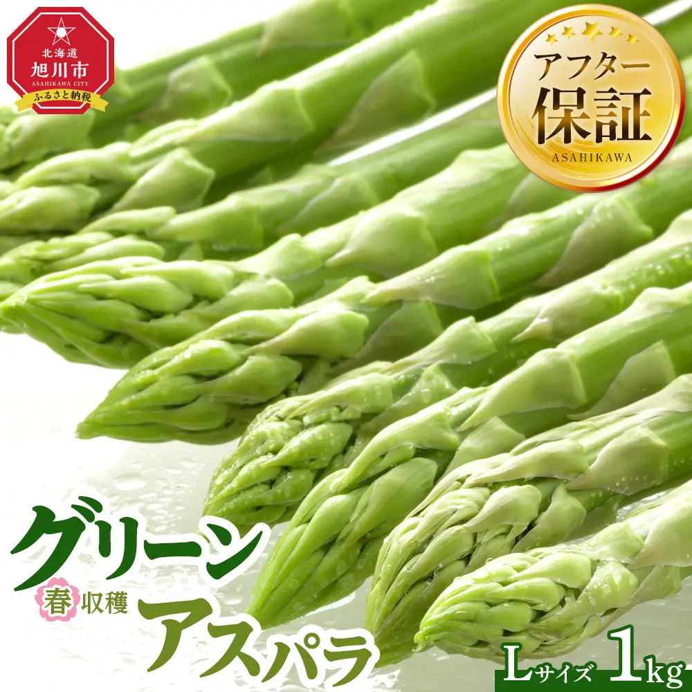 春収穫グリーンアスパラ Lサイズ 1kg（2026年6月上旬から発送開始）| アスパラ 北海道 _00442
