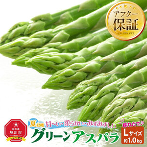 【先行予約】夏収穫グリーンアスパラ Lサイズ 1kg（2026年7月上旬から発送開始）| アスパラ 北海道 _00414