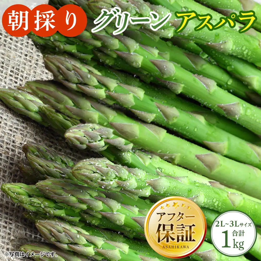 朝採り グリーンアスパラ 2L～3L 1kg（2026年5月下旬発送開始）| アスパラ 北海道 _01704