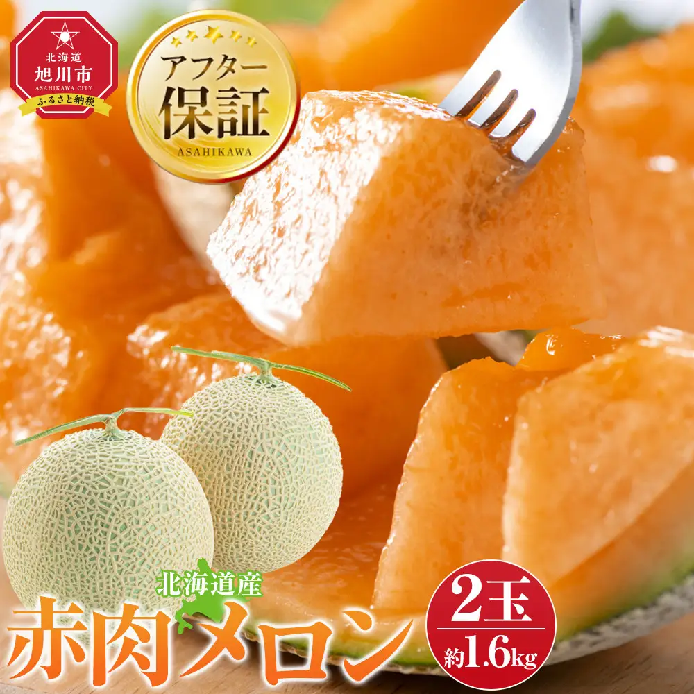 高評価【先行予約】北海道産赤肉メロン1.6kg×2玉 (2026年7月中旬から発送開始) | メロン_02061