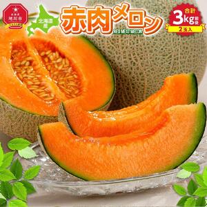 【先行予約】北海道産赤肉メロン合計3kg前後（2玉入）2026年7月中旬から順次発送予定 | メロン_01979