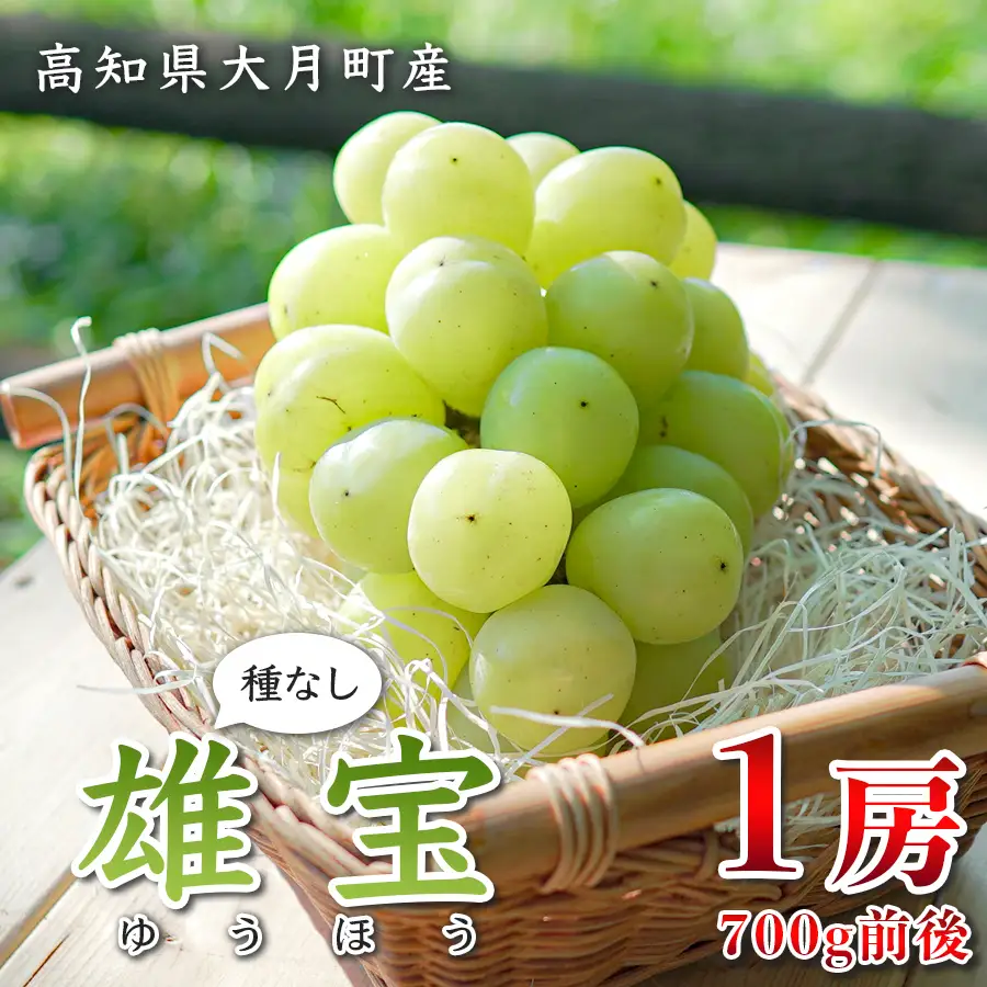【2026年8･9月発送】大粒 ぶどう 種なし 雄宝 1房 (700g)  高級 ブドウ 葡萄 グレープ 数量限定 期間限定 先行予約 冷蔵 果物 くだもの フルーツ ギフト 贈答 甘い おすすめ 人気 新鮮 こだわり 松田ぶどう園 高知 大月町