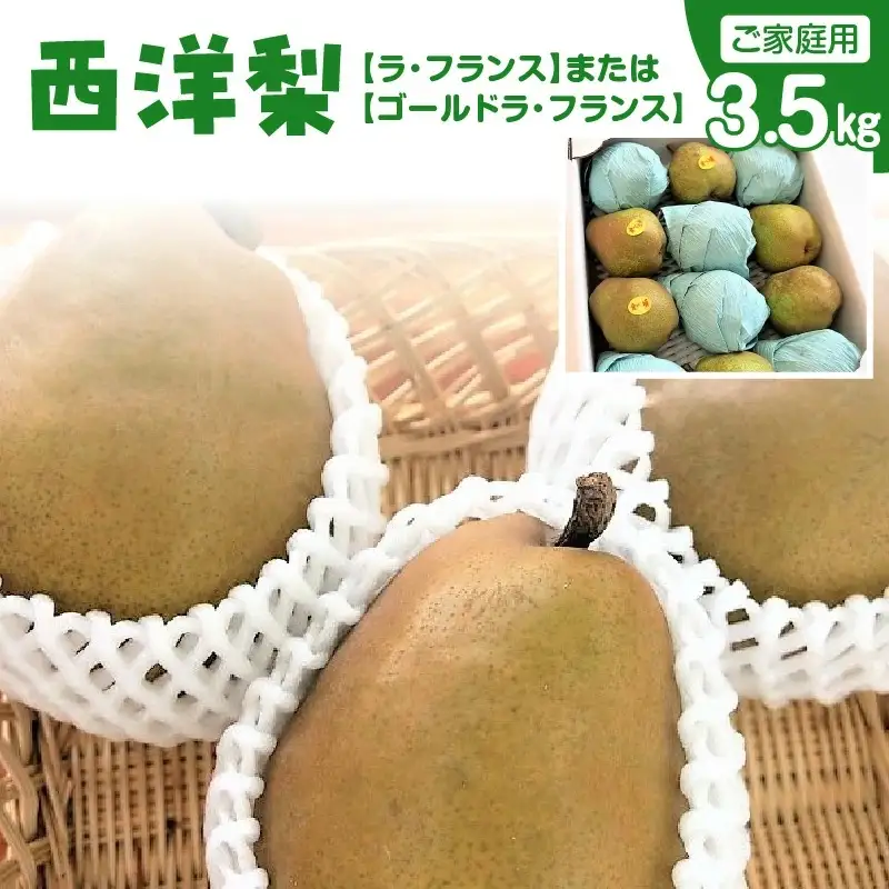 西洋梨（ラ・フランスまたはゴールドラ・フランス）３.５ｋｇ　ご家庭用　0075-2607