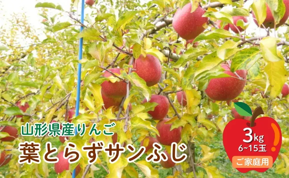 【２０２７年１月～発送】りんご（葉とらずサンふじ）３ｋｇ　ご家庭用　0075-2614