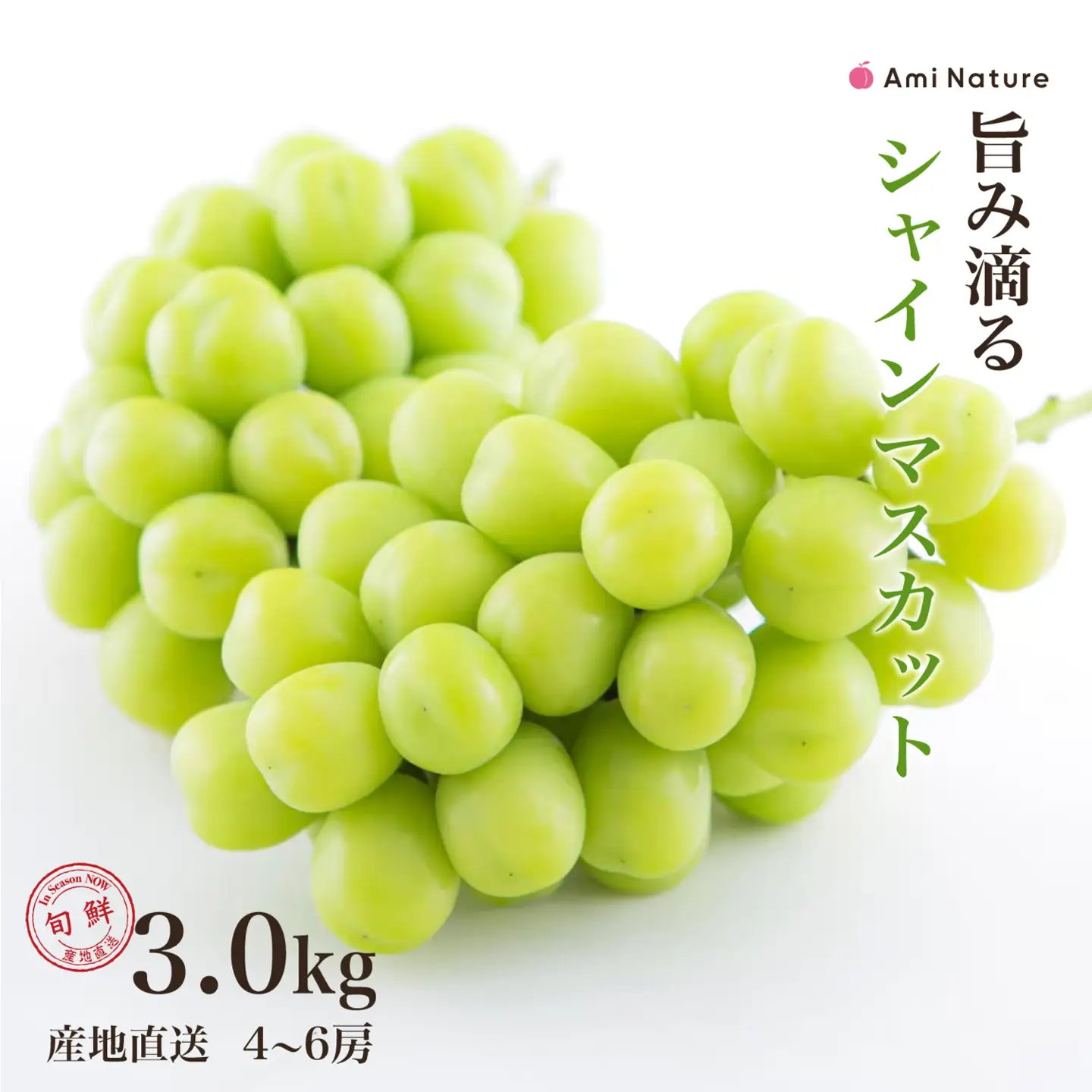 【2026年発送★先行予約】さわやかに滴るシャインマスカット 約3.0kg以上 065-022-26y