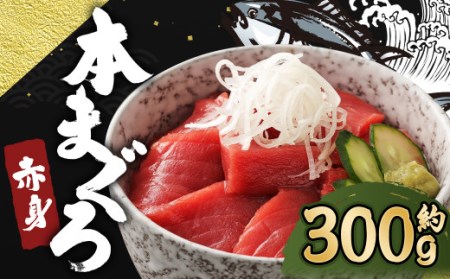 長崎県産 本マグロ赤身 300g 2人前～3人前 【大村湾漁業協同組合】