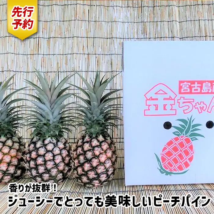 《先行予約》【2026年発送】宮古島産ピーチパイン 2kg（3～4個）セット《金ちゃん農園》（AK107）