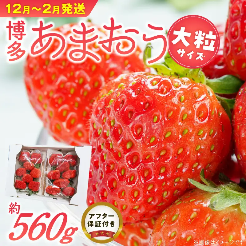 福岡県産あまおういちご　約280g以上×2パック（大粒）【12月～2月発送】_いちご あまおう 約280g 以上 × 2パック 約560g 大粒 果物 フルーツ みずみずしい ジューシー 甘み 酸味 濃厚 ストロベリー パフェ ショートケーキ パンケーキ スムージー サンドイッチ ジャム お菓子作り 福岡県産 久留米市 お取り寄せ 送料無料 〔Fi054〕