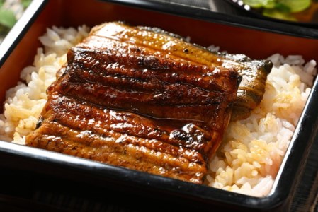 うなぎ 炭火 かば焼き 上 2人前 備長木炭使用 老舗増田家 _ED02