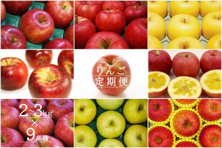 【2026年発送】【定期便9回】「秀品」りんご2～3kg×9種_H151(R8)