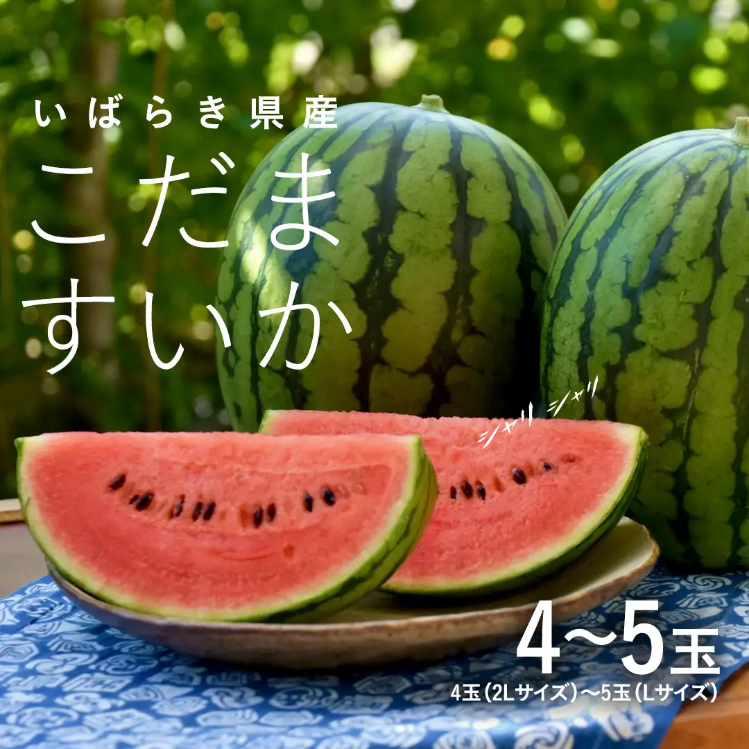 こだますいか 4～5玉 小玉すいか こだますいか 小玉 スイカ 西瓜 果物 フルーツ 茨城 農家直送 産地直送 [BQ015sa]