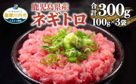 AS-410　2人前ずつ小分け 鹿児島県産本マグロ100％のネギトロ約6人前 合計300g（100g×3袋） 【2026年1月下旬より順次出荷】 