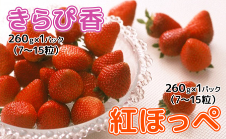 【2027年1月中旬より順次発送】いちご 食べ比べ セット （きらぴ香 ・ 紅ほっぺ   260g×各1パック） 合計 2パック【配送不可：離島】 果物 フルーツ ジューシー 酸味少なめ 新品種 