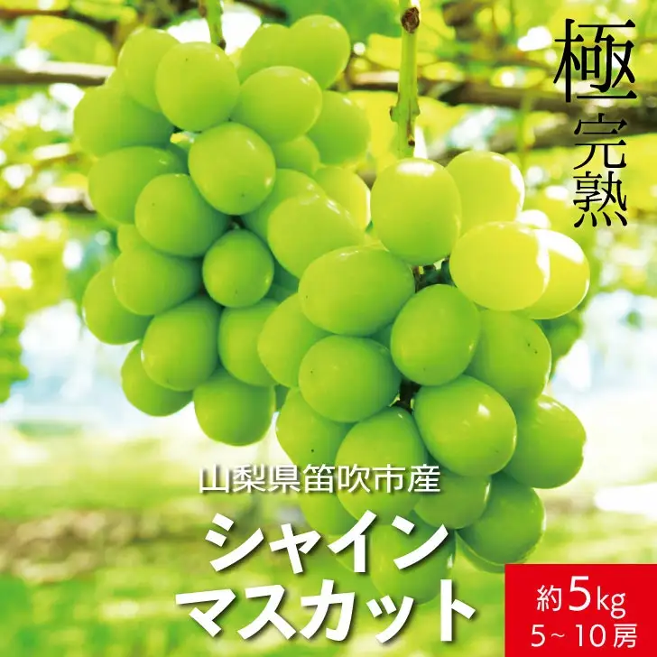 【2026年発送★先行予約】☆絶品☆ シャインマスカット 5-10房約5.0kg 090-006-26y
