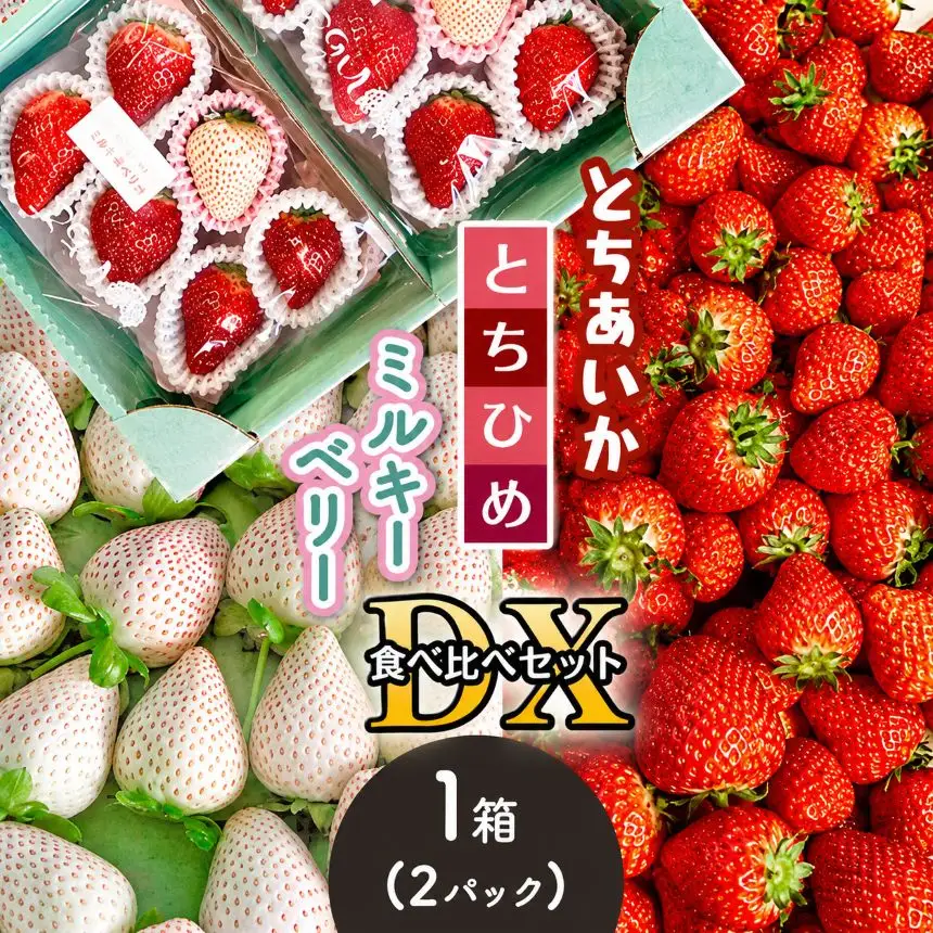  【2026年12月以降発送】とちあいか・とちひめ・ミルキーベリー食べ比べセット DX