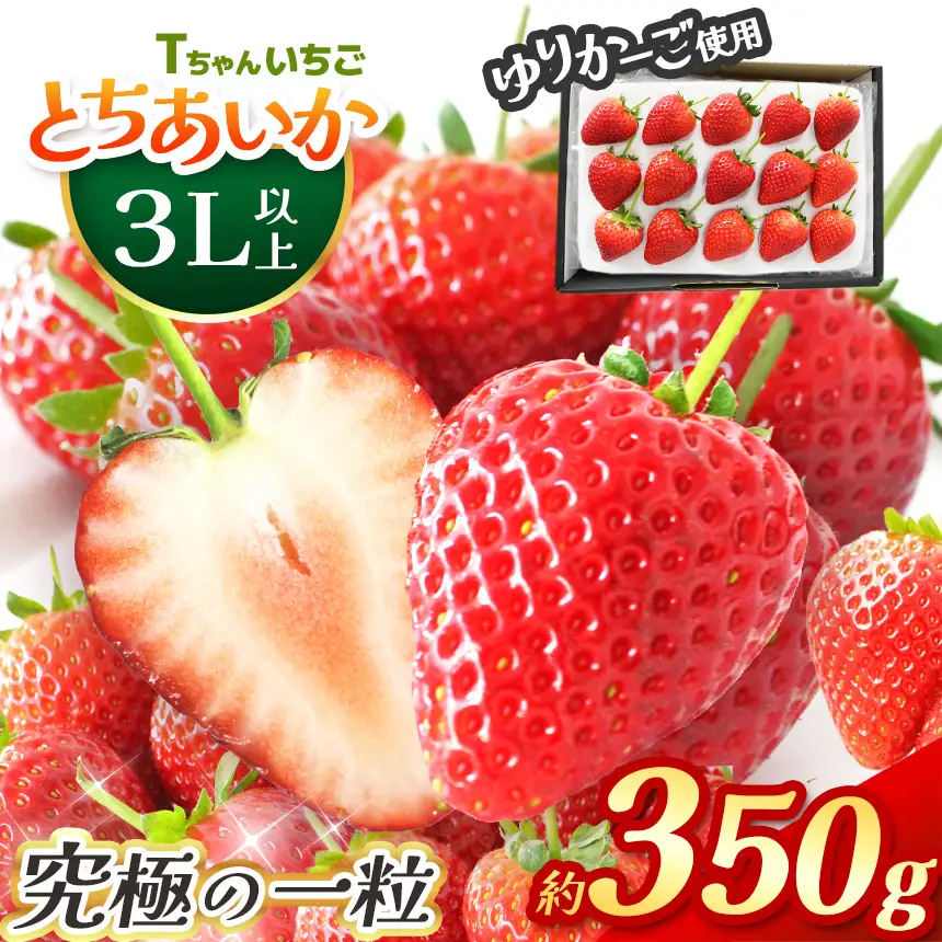 【2027年 先行予約】とちあいか３L以上ホール詰め 約350g