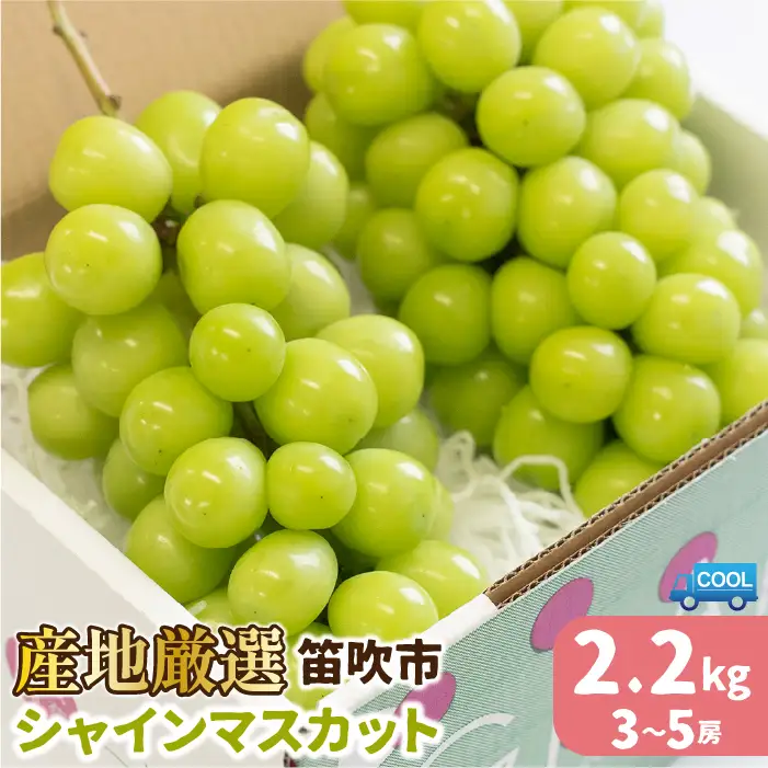 【2026年発送★先行予約】産地厳選シャインマスカット2.2kg（3房～5房）106-004-26y