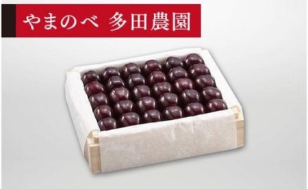《2026年先行予約》【特選サミット】桐箱詰 約500g【やまのべ多田耕太郎のさくらんぼ 多田農園】期間限定 数量限定 F4A-0022