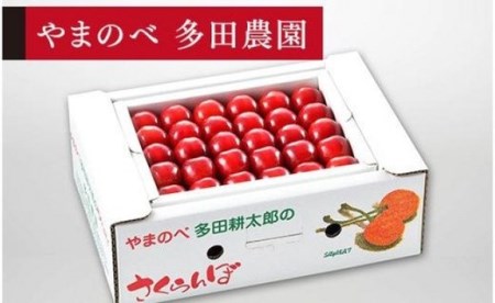 《2026年先行予約》【紅秀峰】手詰 約500g【やまのべ多田耕太郎のさくらんぼ 多田農園】期間限定 数量限定 F4A-0042
