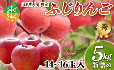 【2026年先行予約】果物の郷 中山町からお届けします！「ふじりんご」期間限定 数量限定 リンゴ 林檎 F4A-0059