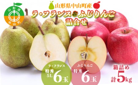 【2026年先行予約】大きいのが食べたい！！詰合せ《ラ・フランス＆ふじりんご》 ラフランス 洋ナシ 洋梨 リンゴ セット 期間限定 数量限定 F4A-0064