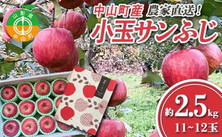 ≪2026年先行予約≫ 農家直送 山形県中山町産 小玉サンふじりんご 約2.5kg（11~12玉） 数量限定 渡辺ファーム数量限定 渡辺ファーム 渡辺ファーム 山形県産 リンゴ 林檎 フルーツ 果物 くだもの F4A-0079