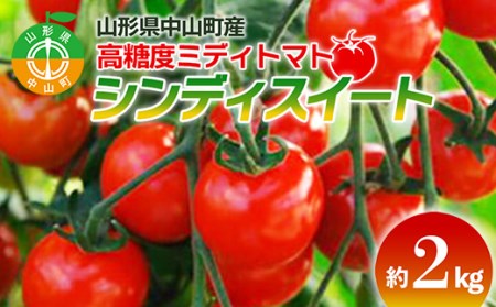 《2026年先行予約》山形県中山町産高糖度ミディトマト《シンディスイート》約2kg 期間限定 数量限定 濃厚 リコピン 甘い おやつ サラダ 完熟 新鮮 F4A-0111