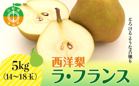 【2026年先行予約】山形県産 西洋梨 ラ・フランス 5kg(14～18玉) 期間限定 数量限定 西塔果樹農園 ラフランス 果物 秋果実 フルーツ 洋ナシ 西塔果樹農園 ラフランス 果物 秋果実 果物 くだもの フルーツ 洋ナシ 洋なし F4A-0117