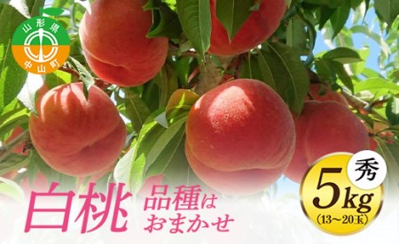 《先行予約・期間限定》山形県産 白桃 秀5kg(13～20玉)【品種おまかせ】期間限定 数量限定 もも モモ フルーツ 果物 くだもの F4A-0145