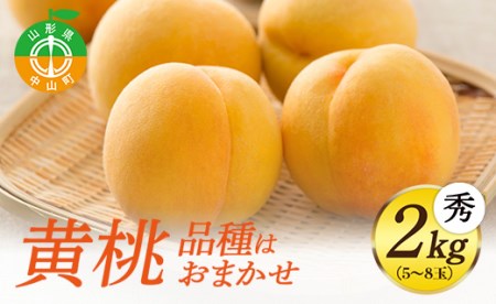 《先行予約・期間限定》山形県産 黄桃 秀2kg (5～8玉) 【品種おまかせ】期間限定 数量限定 もも モモ フルーツ 果物 くだもの F4A-0146