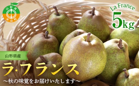 山形県産ラ・フランス 特秀5kg（13～18玉）11月上旬から発送開始 果物 くだもの フルーツ ラフランス 洋梨 西洋梨 洋ナシ洋なし 秋果実 F4A-0253