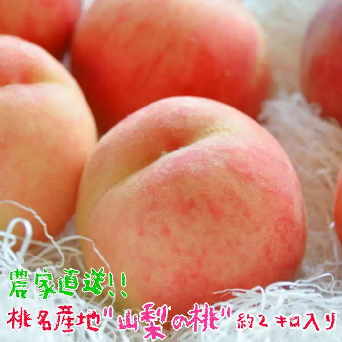 【2026年発送★先行予約】ももの名産地”山梨”の桃 約2kg（5～8玉入り） 109-009-26y