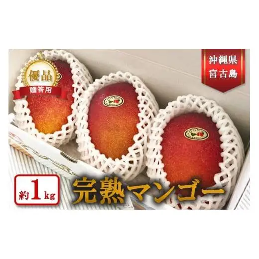 【宮古島産マンゴー】ご贈答用 1kg（2-3玉）マンゴーファーム宮古島（FQ009）