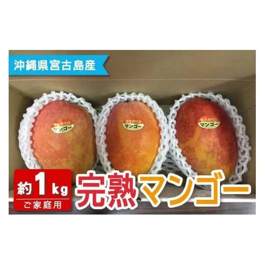 【宮古島産マンゴー】ご家庭用 1kg（2-3玉）マンゴーファーム宮古島（FQ011）
