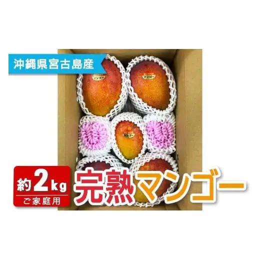 【宮古島産マンゴー】ご家庭用 2kg（4-6玉）マンゴーファーム宮古島（FQ012）